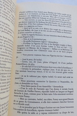 Fannys erotische Abenteuer - Erotischer Roman