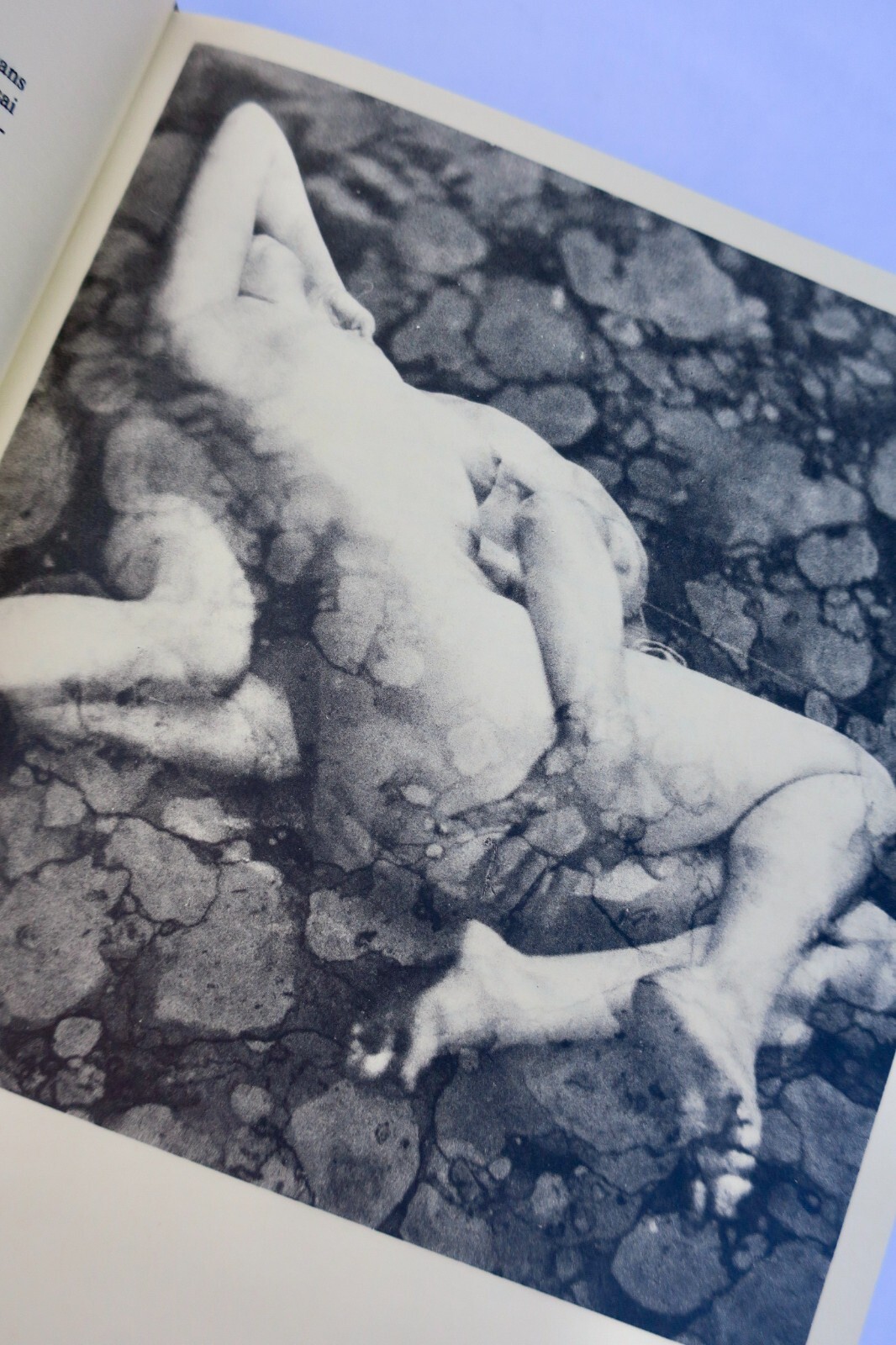 Literary exploration of desire - Image 6