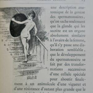 érotique Nouvelles causes de stérilité dans les deux sexes. Fécondation 1888