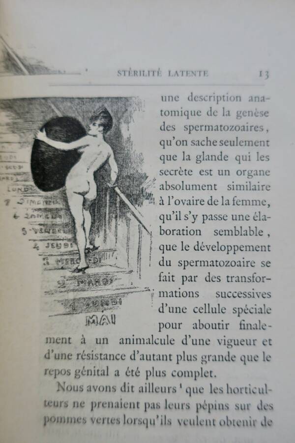 Medical treatise on fertility causes and procreation