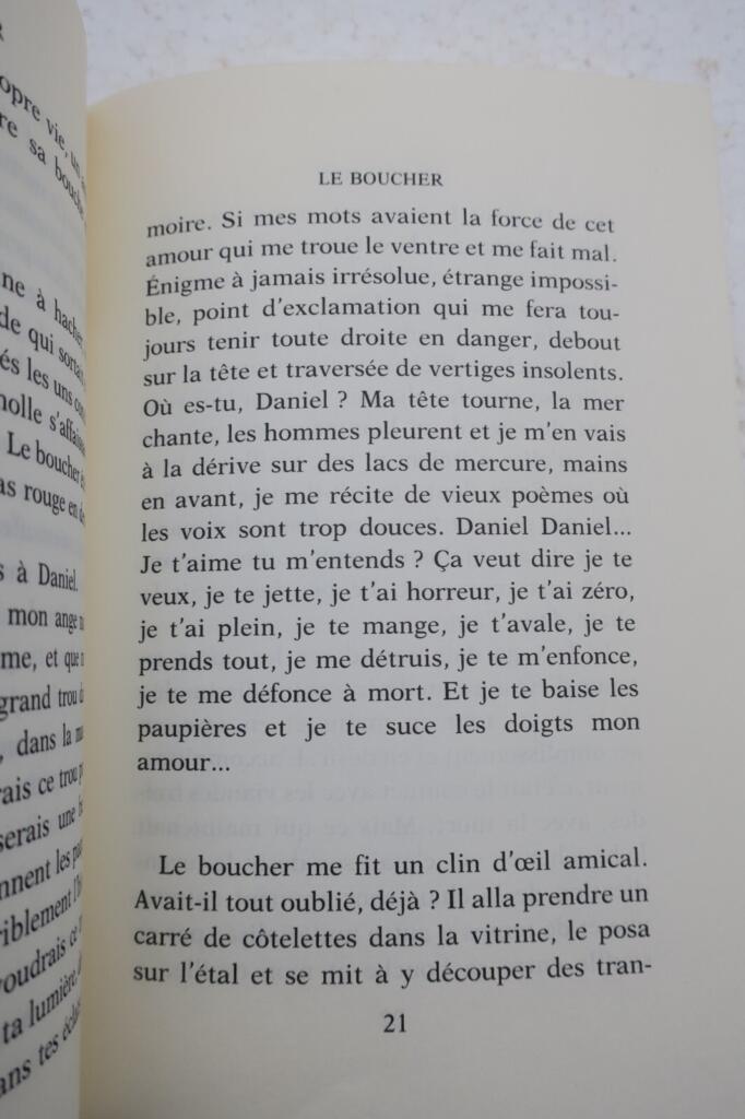 Erotischer Roman von REYES ALINA LE BOUCHER