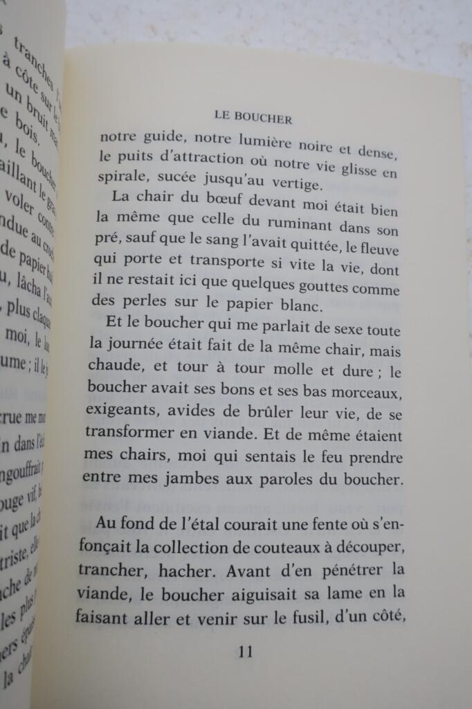 Erotischer Roman von REYES ALINA LE BOUCHER