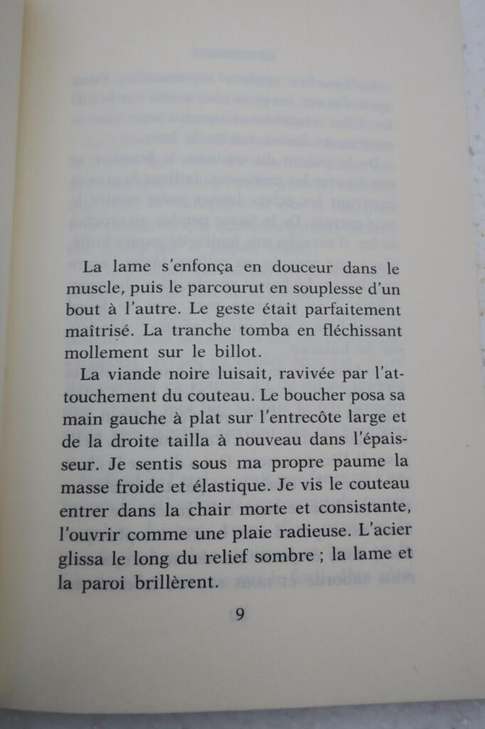 Erotischer Roman von REYES ALINA LE BOUCHER