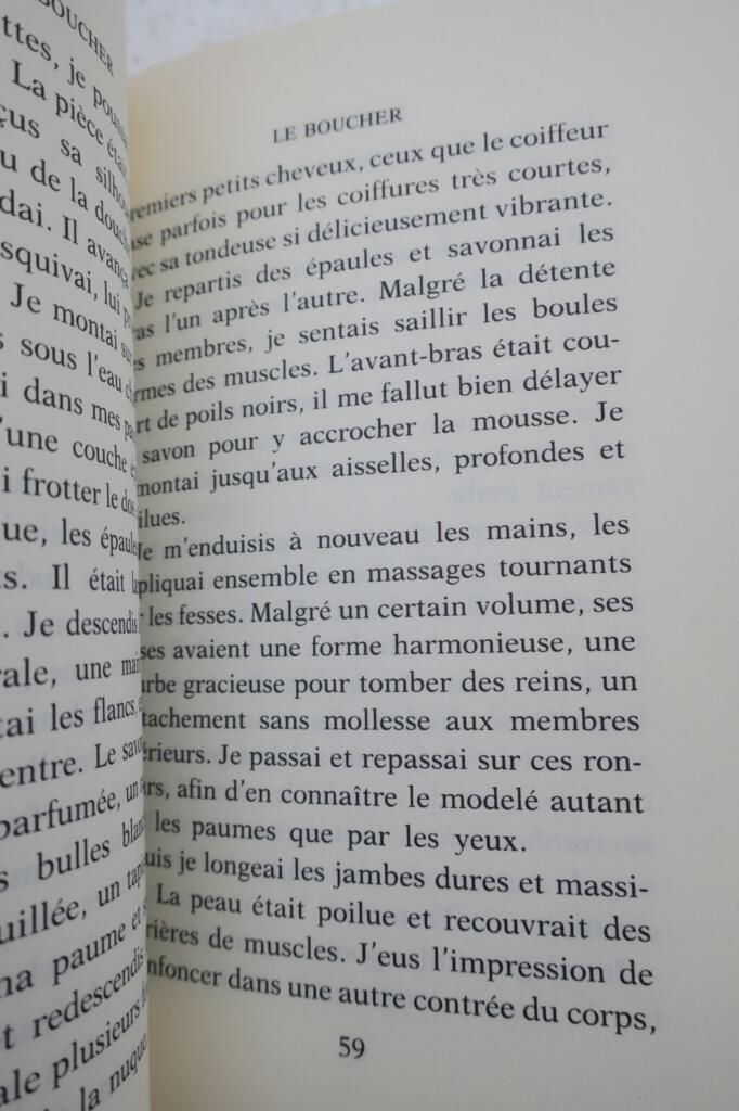 Erotischer Roman von REYES ALINA LE BOUCHER