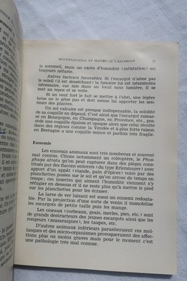 Übersicht über essbare Schnecken und Frösche