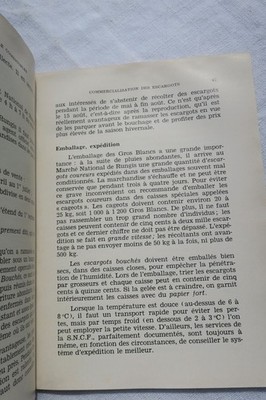 Übersicht über essbare Schnecken und Frösche