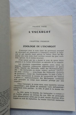 Übersicht über essbare Schnecken und Frösche