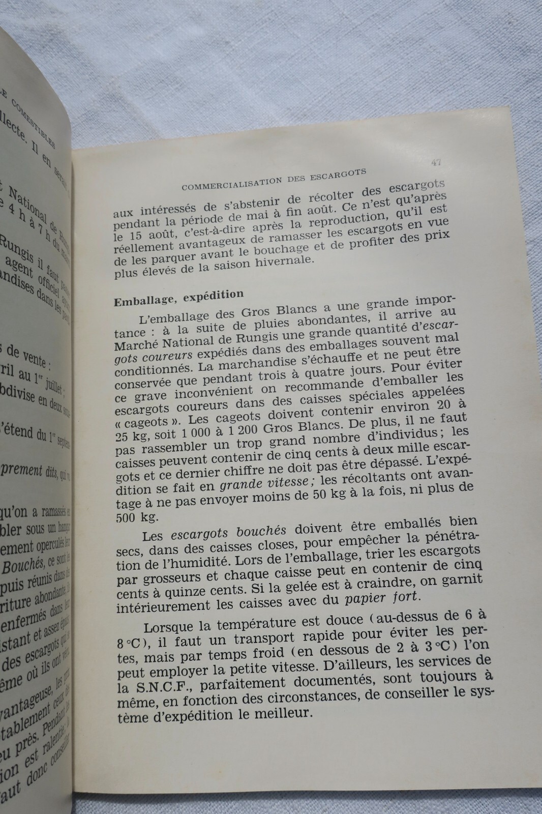 Essbare Schnecken und Frösche<span class="lla-card-orig-wrap"><span class="lla-card-orig">❦ Escargot et la grenouille comestibles</span></span> - La Librairie Antique