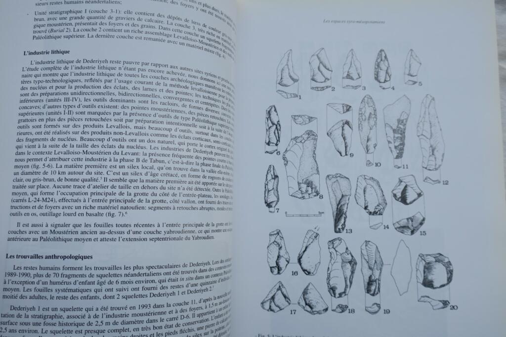 espaces syro-mesopotamiens. Dimensions de l&rsquo;experience humaine au Proche-Orient