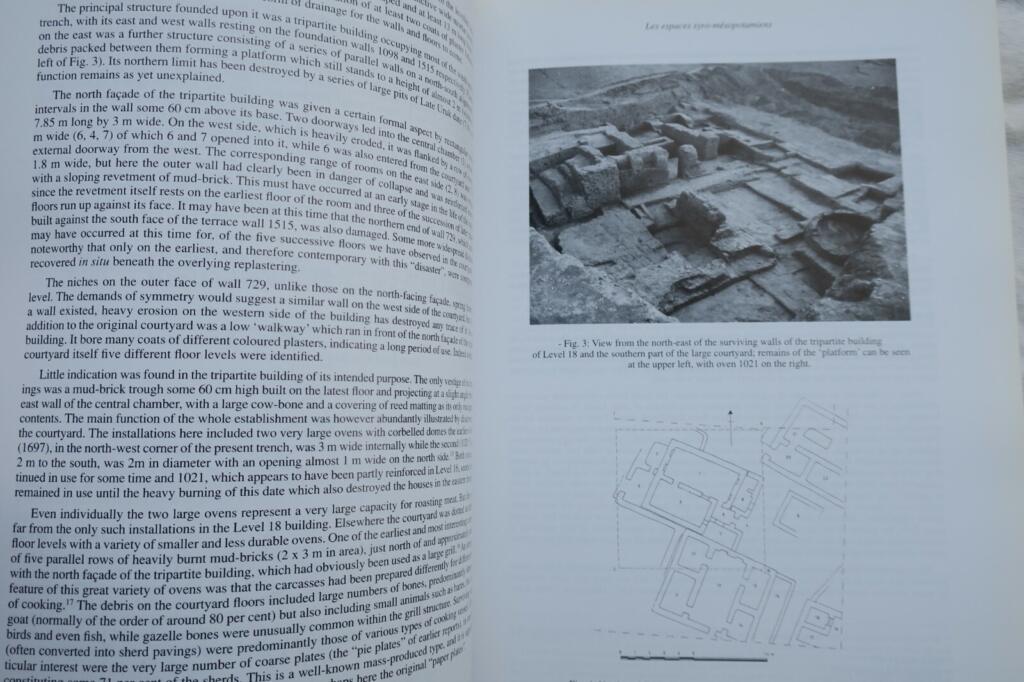 espaces syro-mesopotamiens. Dimensions de l&rsquo;experience humaine au Proche-Orient
