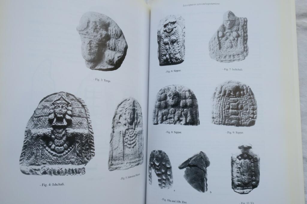 espaces syro-mesopotamiens. Dimensions de l&rsquo;experience humaine au Proche-Orient
