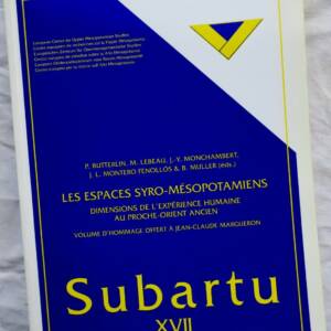 espaces syro-mesopotamiens. Dimensions de l'experience humaine au Proche-Orient