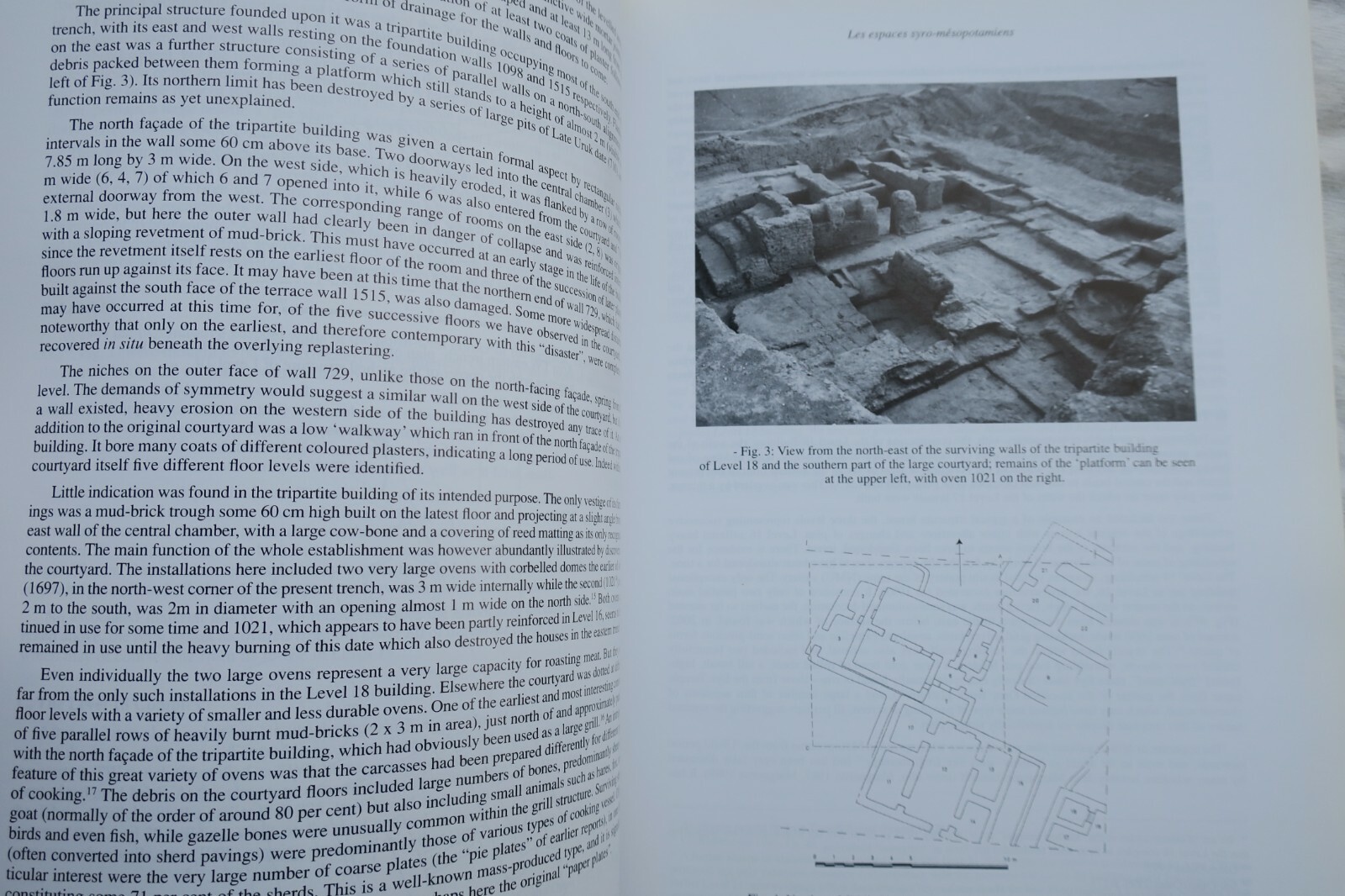 Syrian-Mesopotamian Spaces: Human Experience in Ancient Near East - Image 6