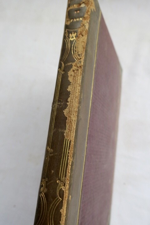 スペインの州年代記と旅、1837年<span class="lla-card-orig-wrap"><span class="lla-card-orig">❦ espagne Excursions en Espagne, ou chroniques provinciales de la péninsule 1837</span></span> - La Librairie Antique