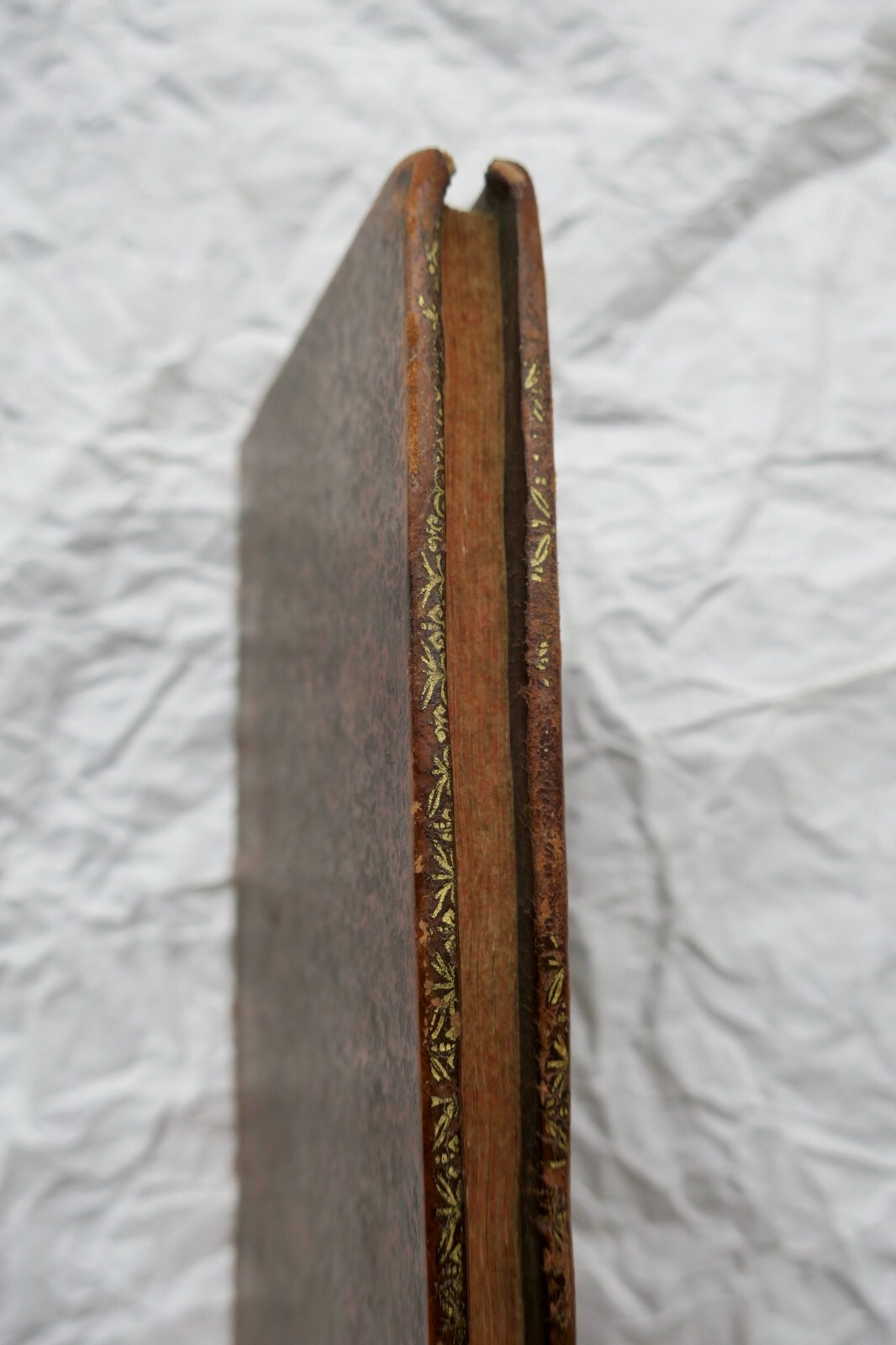 Wesen der Kirche - Image 3