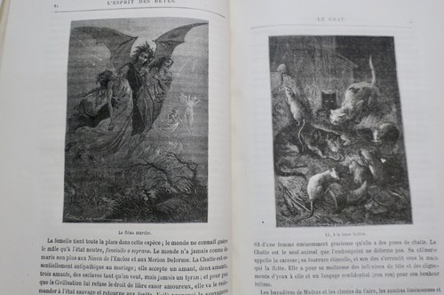 Wesen der Tiere - Image 8