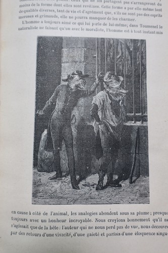Wesen der Tiere - Image 5