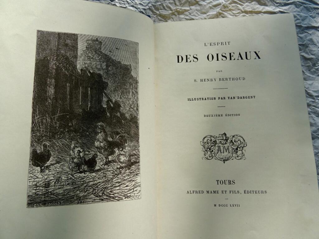 Ornithological study with naturalist illustrations
