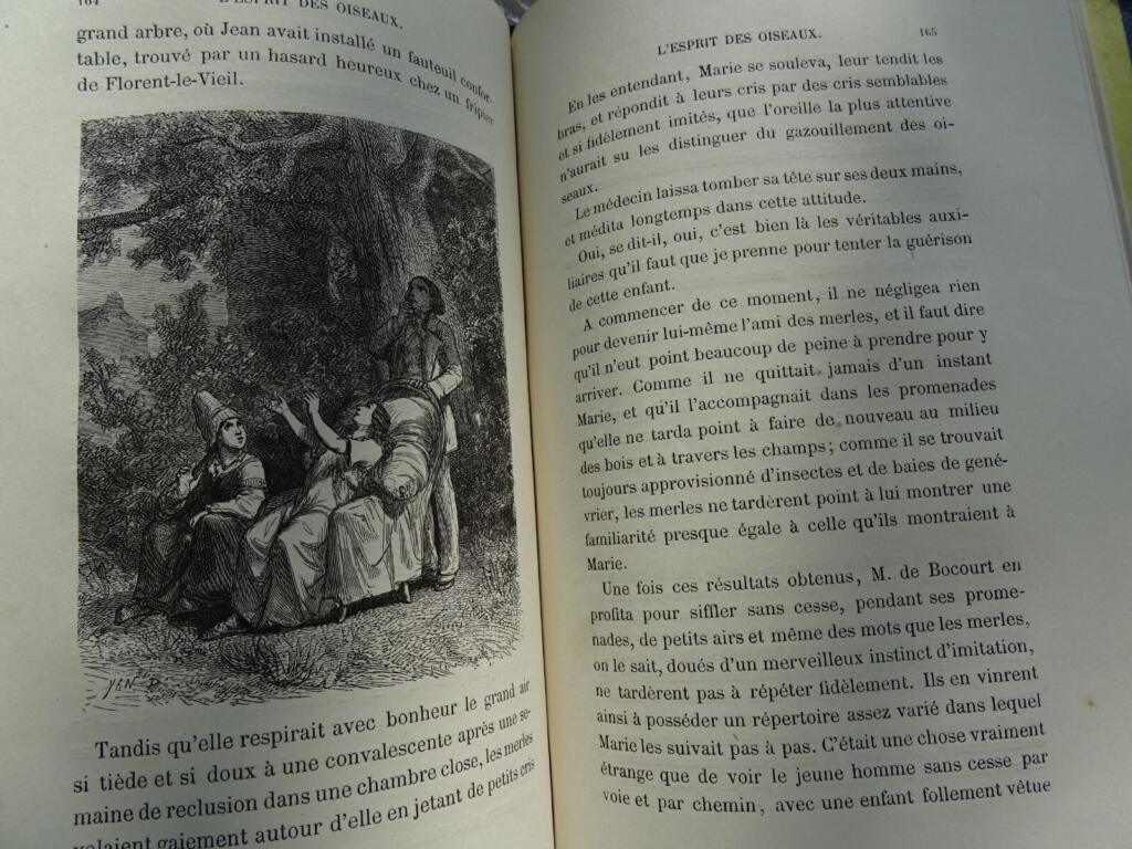 ESPRIT DES OISEAUX 1867