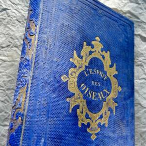 ESPRIT DES OISEAUX 1867