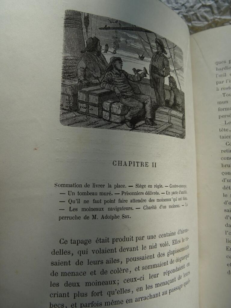 ESPRIT DES OISEAUX 1867