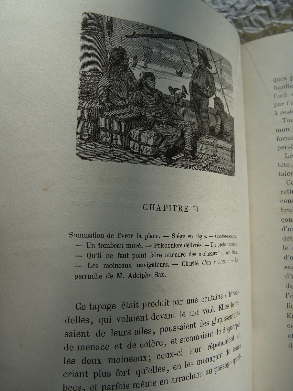 Vögel: Eine Studie über den Geist - Image 8