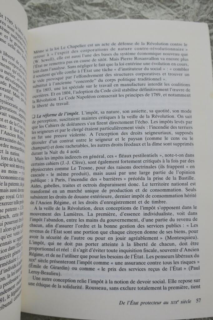 Analyse des französischen Staates und der Gesellschaft
