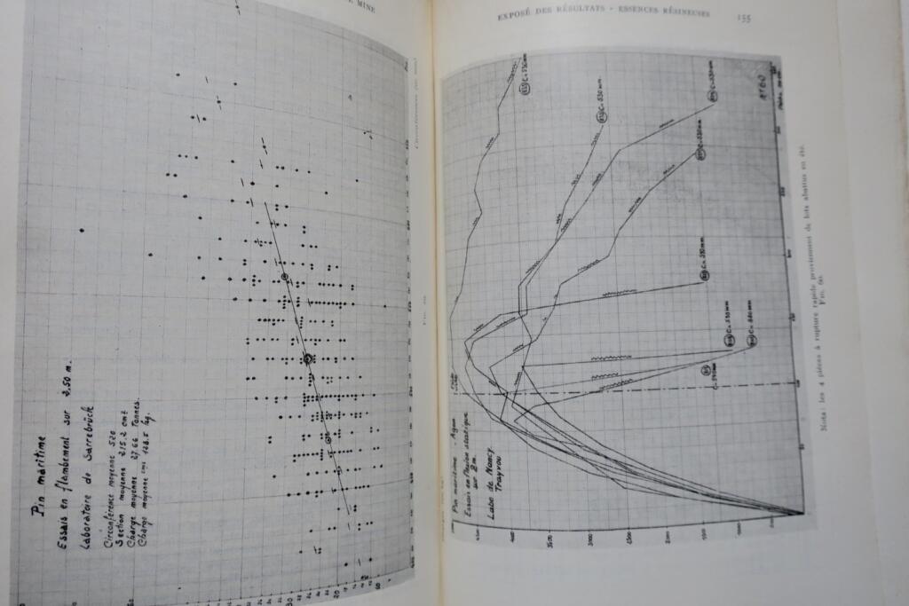 Mechanical resistance of mining timber