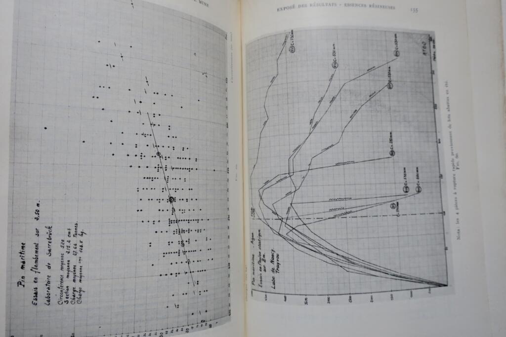 Study of Mechanical Resistance of Mining Woods