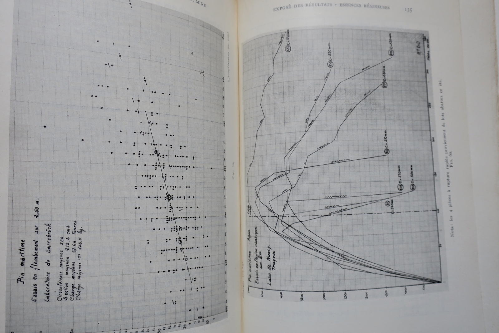 Study of Mechanical Resistance of Mining Woods - Image 5