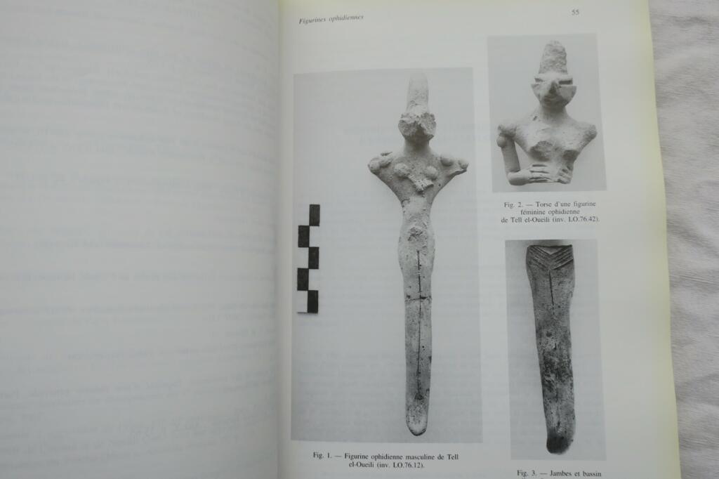 Mesopotamische Studien: Texte für HUOT
