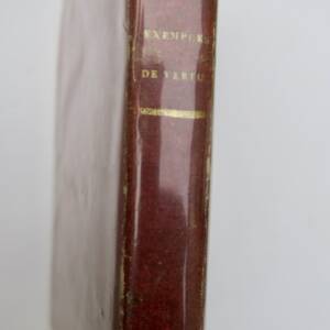 Examples of Virtue proposed to youth