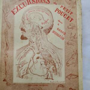 Excursions du Petit Poucet, dans le corps humains et dans les animaux 1886