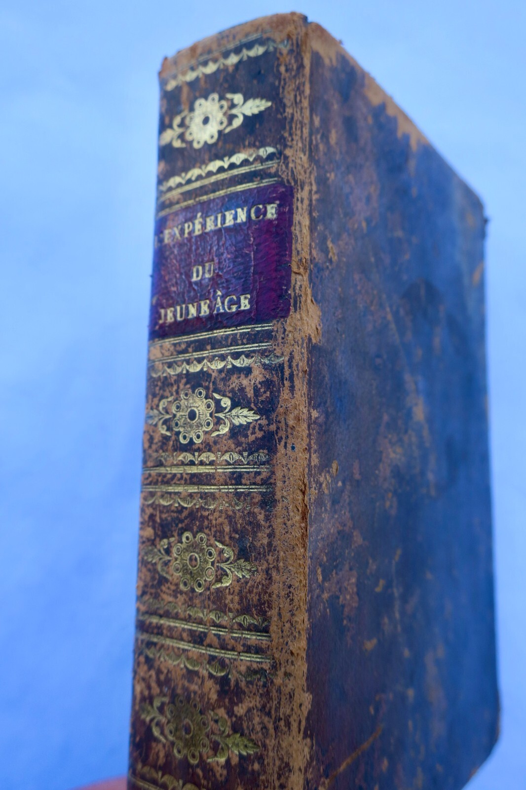 若い子供への教訓<span class="lla-card-orig-wrap"><span class="lla-card-orig">❦ expérience du jeune âge, ou leçons d’une mère à ses enfans 1826</span></span> - La Librairie Antique