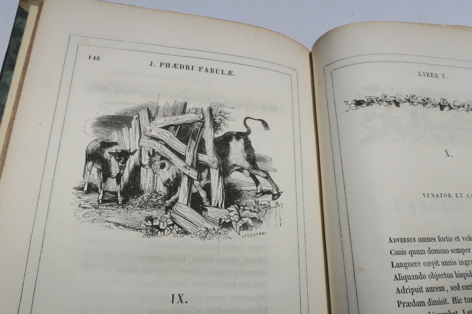 Fabeln von Phaedrus Sammlung - Image 4