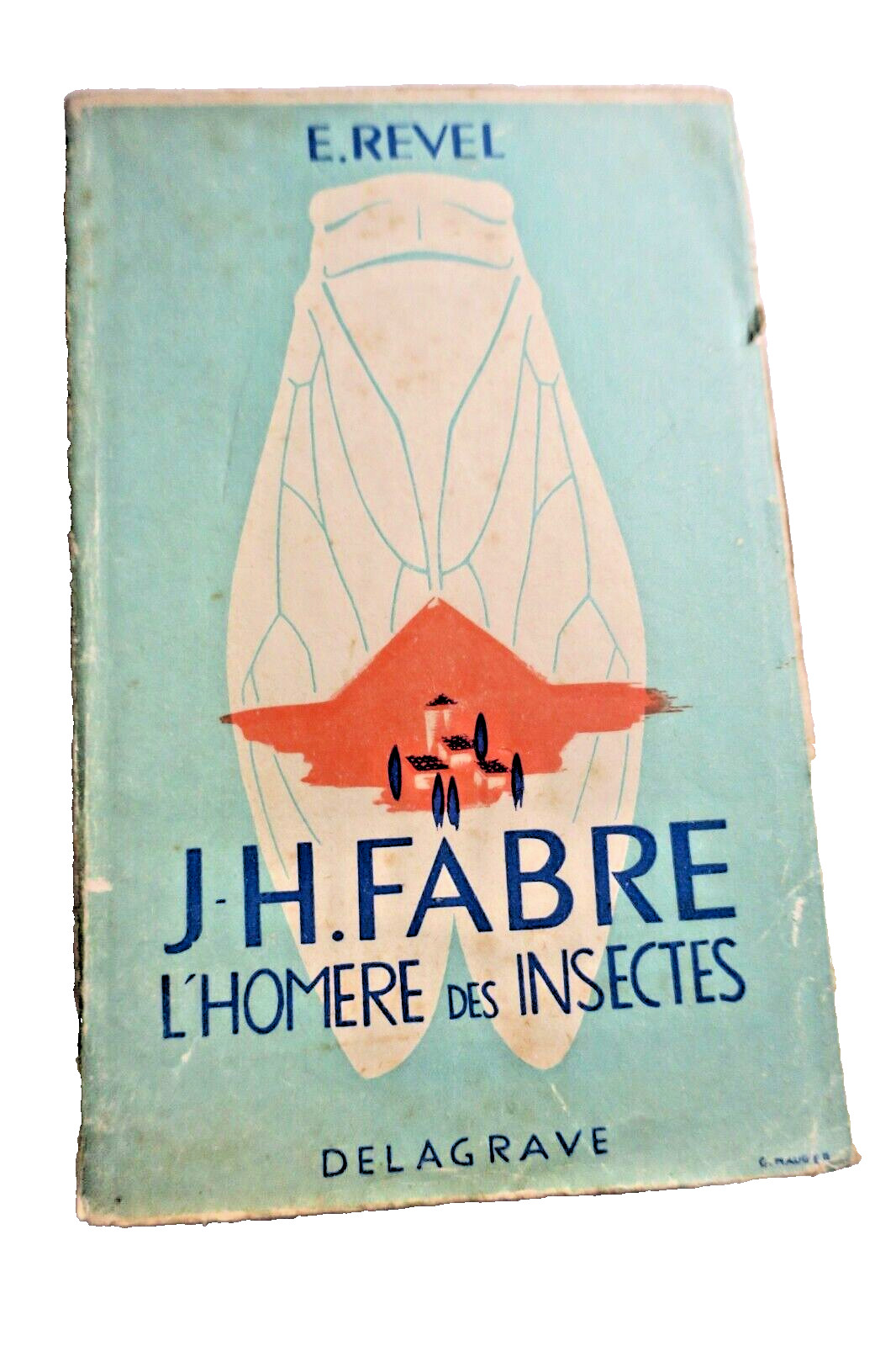 Fabre: Der Homer der Insekten – Image 8