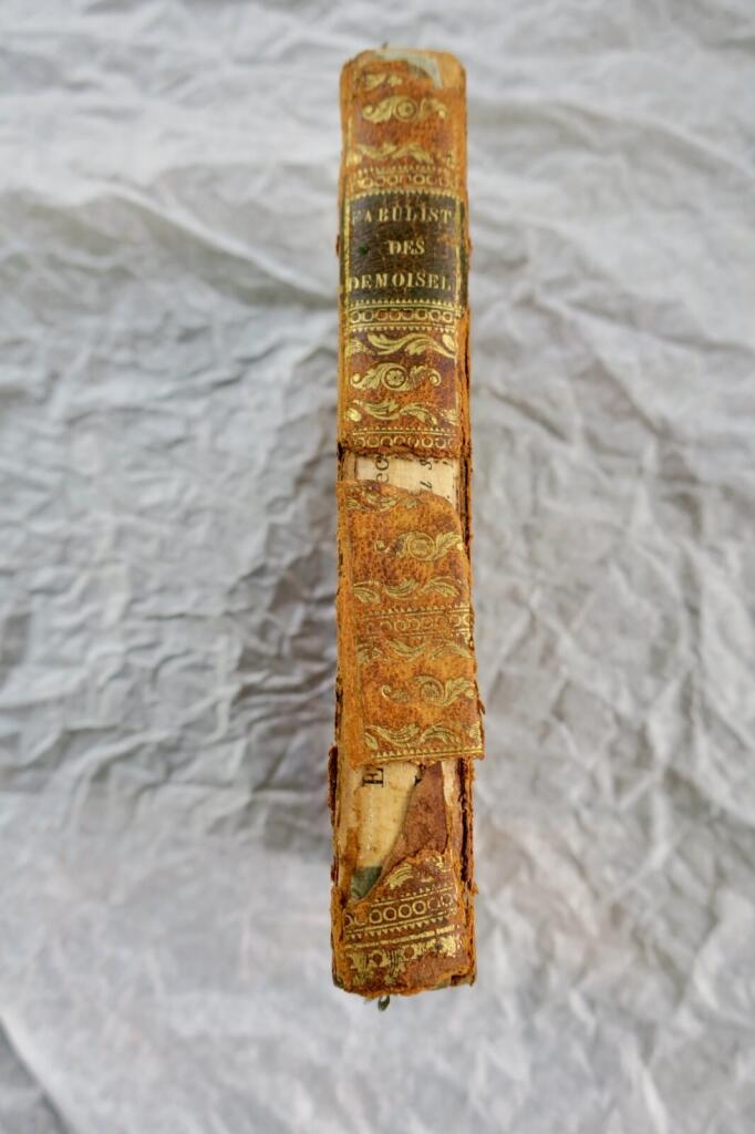 Fables for young ladies with pedagogical essay