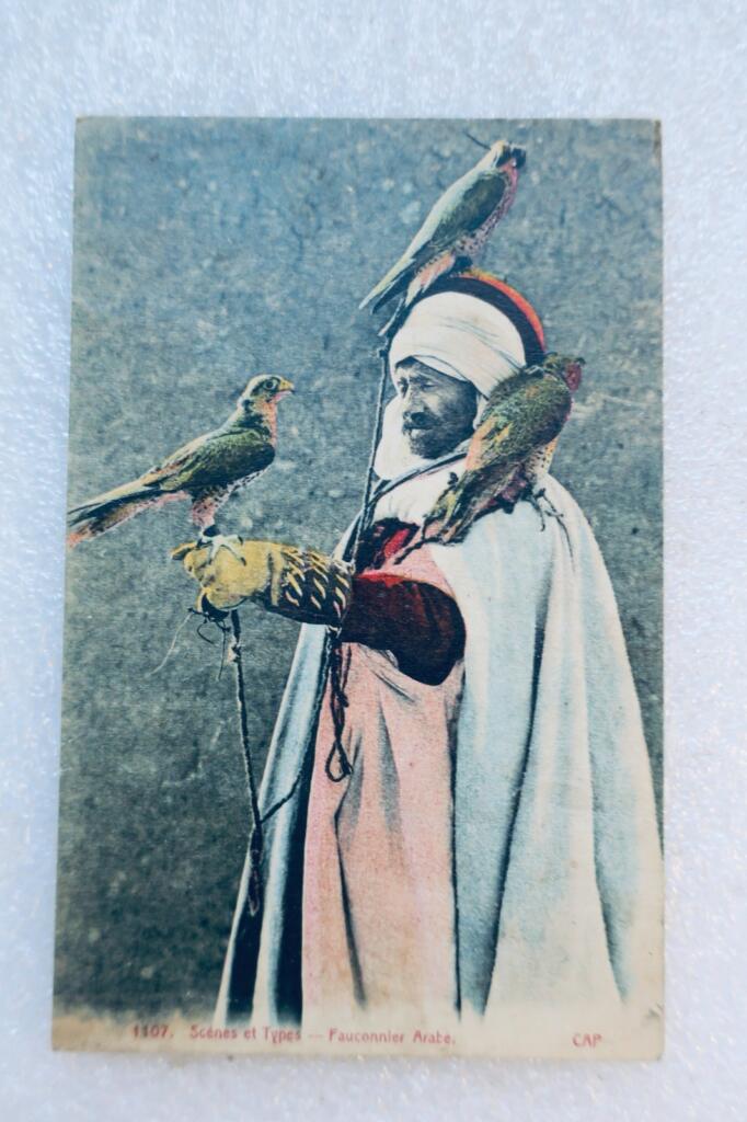 Arabische Falknerei und Techniken