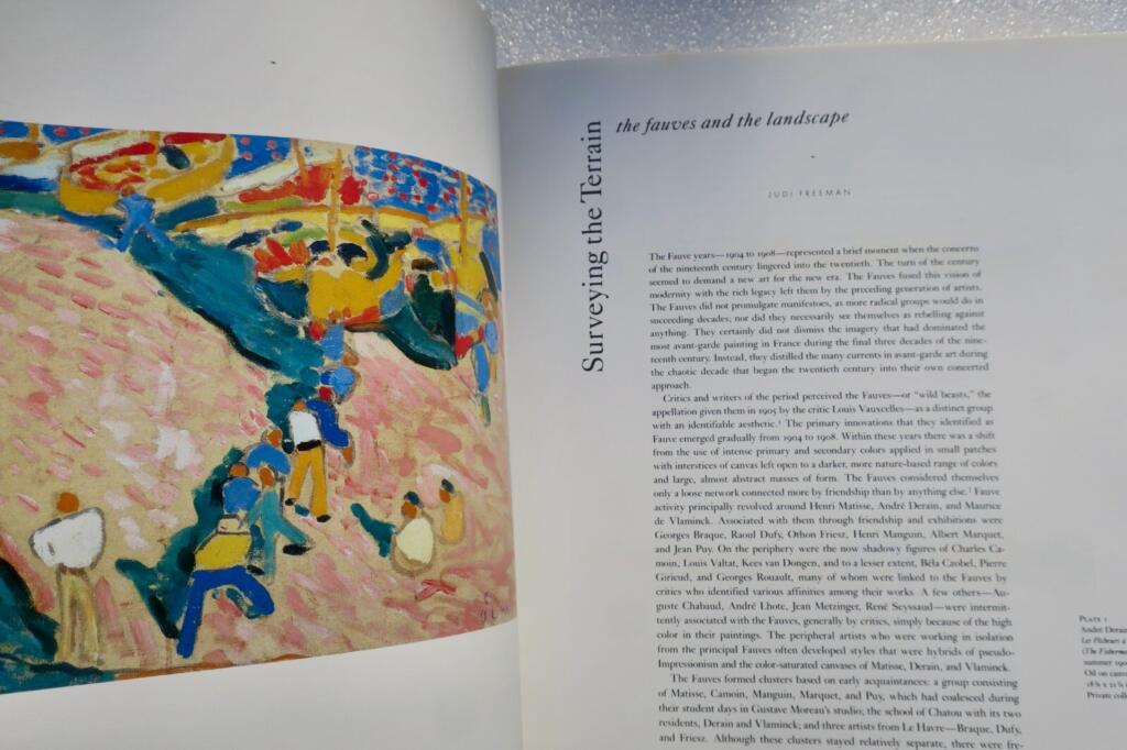 Fauve-Landschaft: Ausstellungskatalog 1990