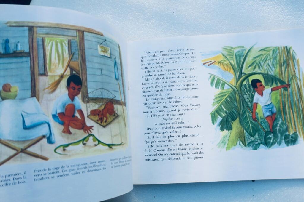 Illustrated work about the Antilles
