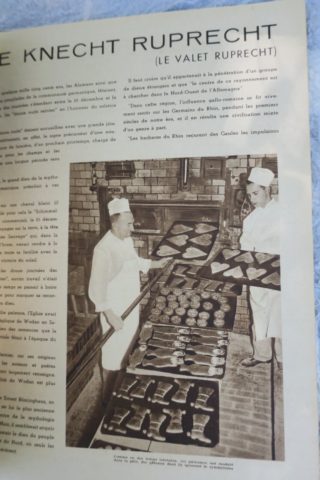 Information Review of French Troops in Germany - Image 10