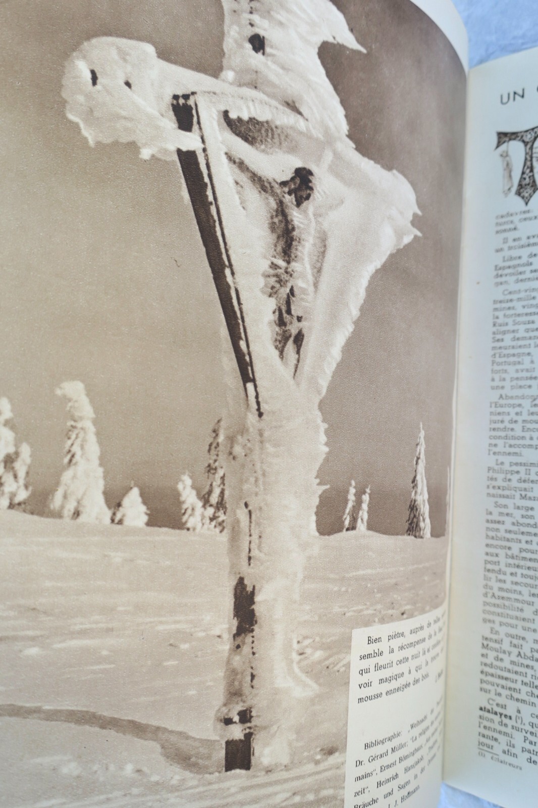 Information Review of French Troops in Germany - Image 8