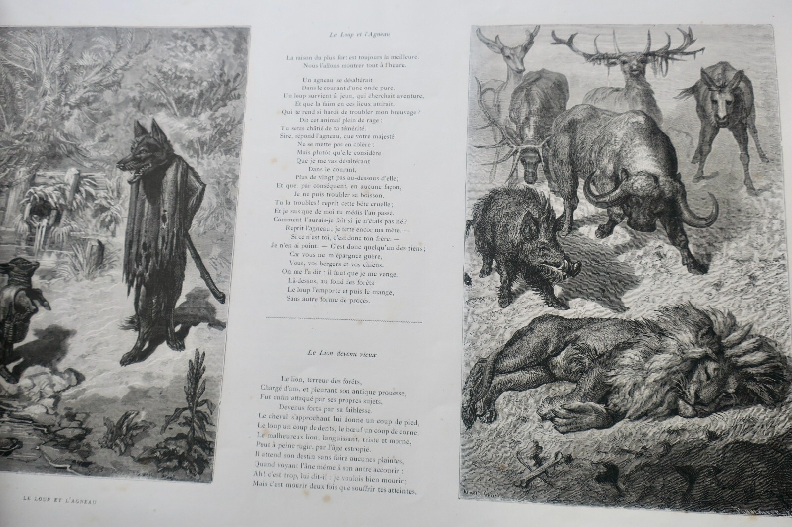 Sammlung aus Le Figaro, 1875 - Image 4