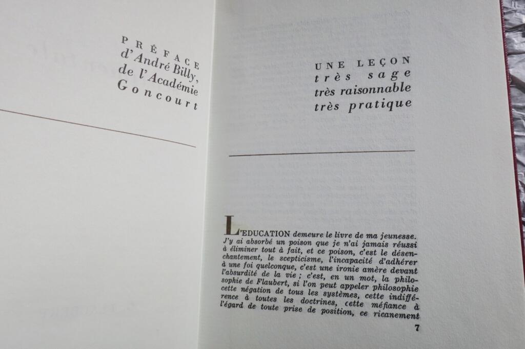 Sentimentale Bildung