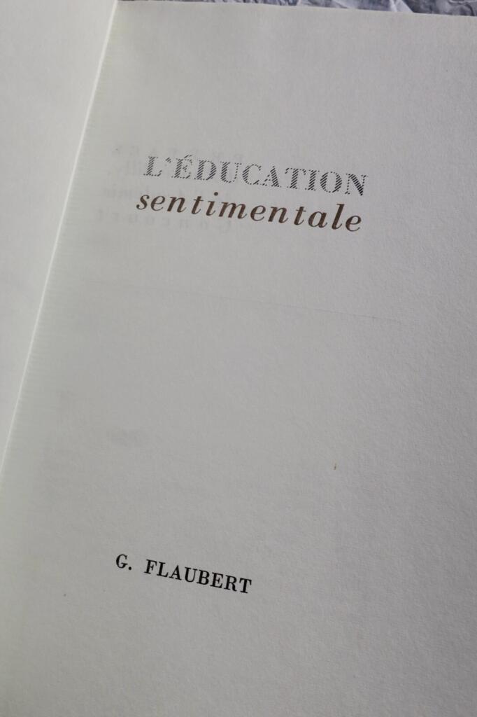 Sentimentale Bildung