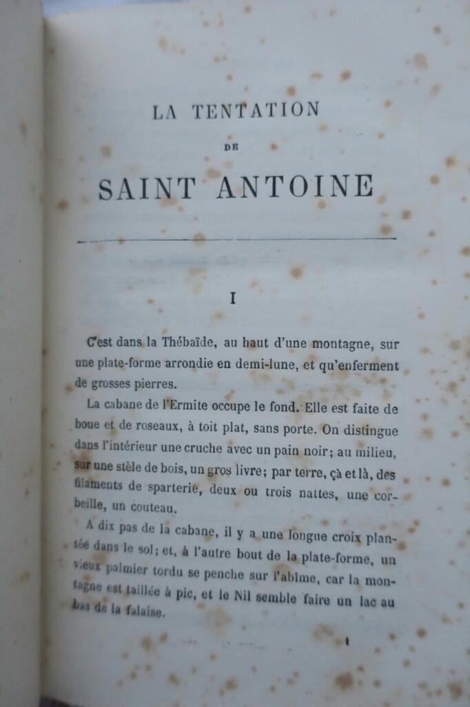 Visionäre Allegorie des geistlichen Kampfes