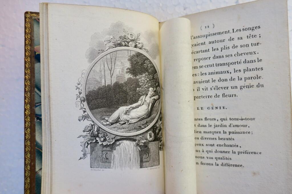 fleurs l’origine des fleurs ou le songe d’Alboulkasem