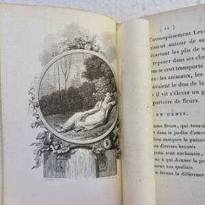 fleurs l'origine des fleurs ou le songe d'Alboulkasem