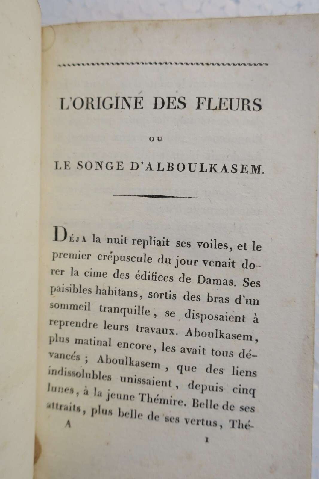 The origins of flowers discussed – Image 5
