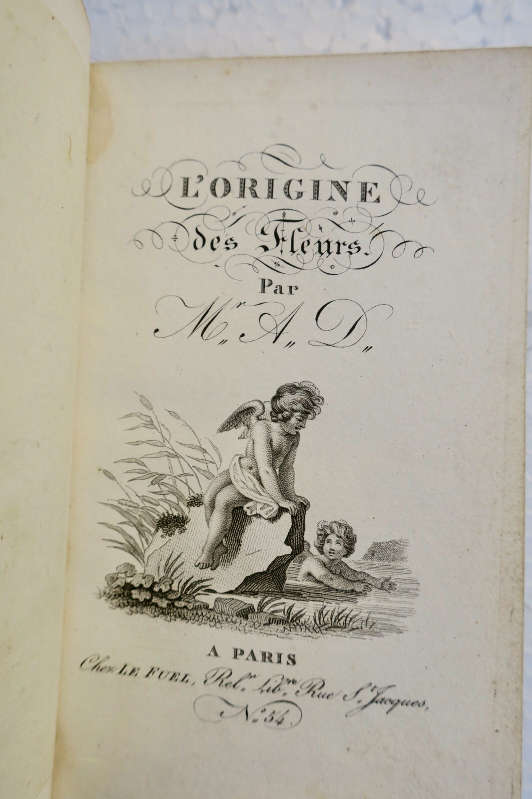 The origins of flowers discussed – Image 4